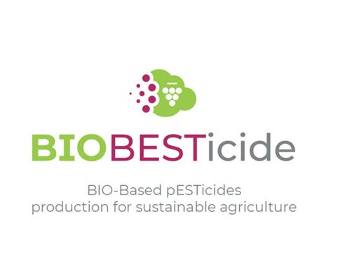 Biobesticides project